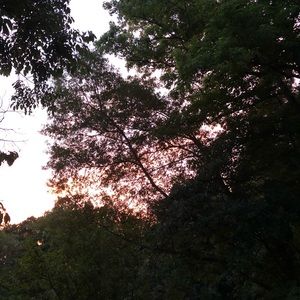 Meet your Posher, Carly